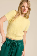 Fuzzy Knit Cropped Short Sleeve Sweater: Wine / M