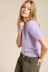 Fuzzy Knit Cropped Short Sleeve Sweater: Wine / L